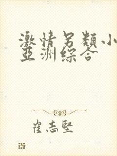 激情另类小说区亚洲综合