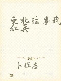 东北往事我叫赵红兵