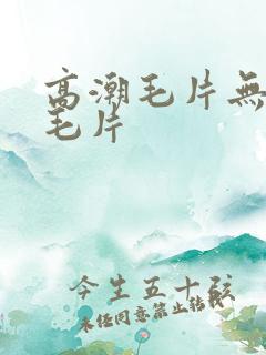 高潮毛片无遮挡毛片
