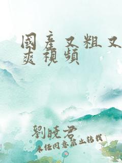 国产又粗又猛又爽视频