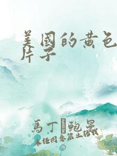 美国的黄色录像片子