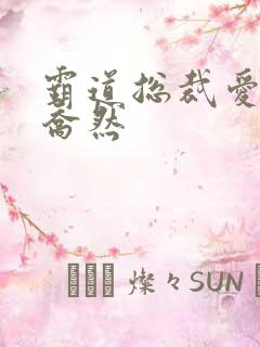 霸道总裁爱上我乔然