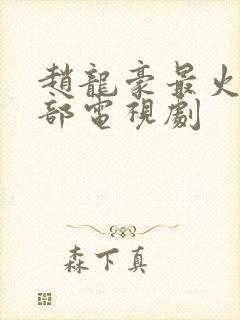 赵龙豪最火的5部电视剧