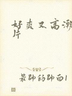 好爽又高潮的毛片