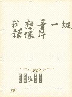 我想看一级黄色录像片