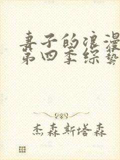 妻子的浪漫旅行第四季综艺