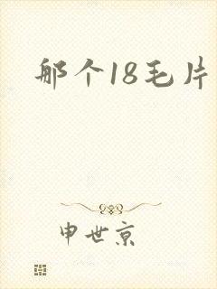那个18毛片