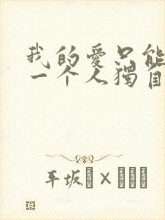 我的爱只能让你一个人独自拥有是什么歌