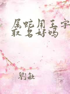 属蛇用王字旁字取名好吗