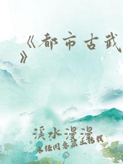 《都市古武高手》