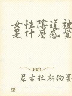 女性阴道被插入是什么感觉