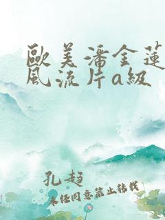 欧美潘金莲一级风流片a级