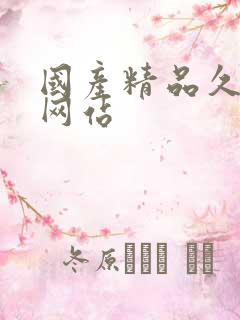 国产精品久久久网站