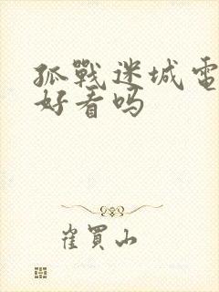 孤战迷城电视剧好看吗