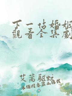 下一站婚姻免费观看全集剧情介绍