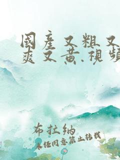 国产又粗又猛又爽又黄.视频