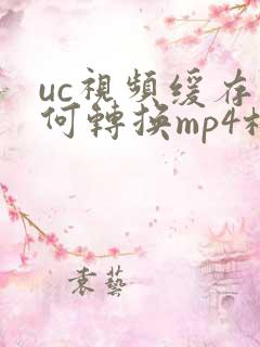 uc视频缓存如何转换mp4格式