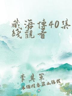 藏海传40集在线观看