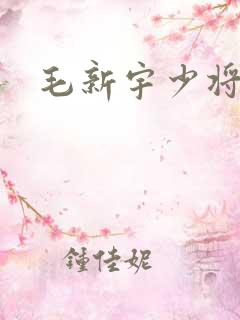 毛新宇少将简介