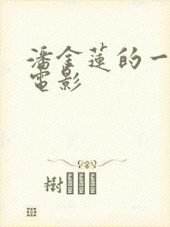 潘金莲的一级片电影