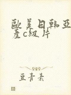 欧美日韩亚洲国产c级片