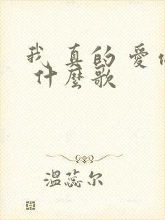 我 真的 爱你 什么歌