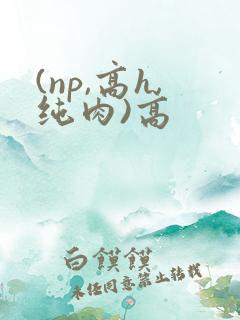 (np,高h,纯肉)高