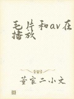 毛片和av在线播放