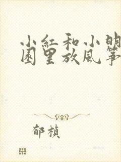 小红和小明在公园里放风筝的看图写话