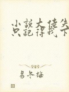 小说大佬失忆后只记得我下载