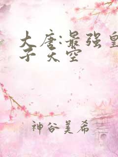 大唐:最强皇太子 天空