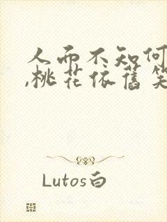 人面不知何处去,桃花依旧笑春风意思