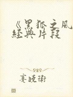 《黑狐之风影》经典片段