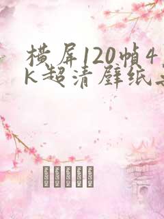 横屏120帧4k超清壁纸无水印