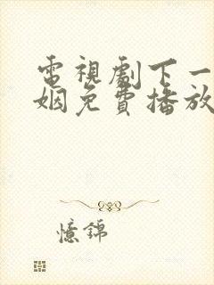 电视剧下一站婚姻免费播放