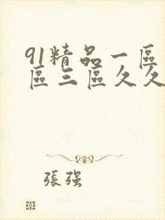 91精品一区二区三区久久久久久