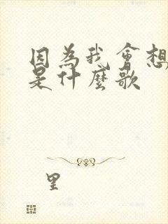 因为我会想起你是什么歌