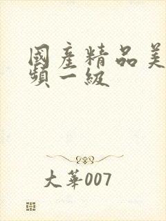 国产精品美女视频一级