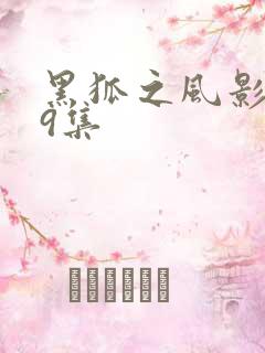 黑狐之风影第29集