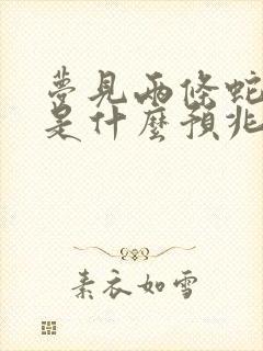 梦见两条蛇追我是什么预兆