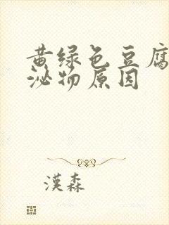 黄绿色豆腐渣分泌物原因