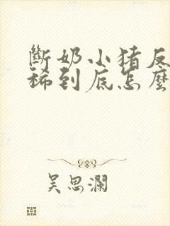 断奶小猪反复拉稀到底怎么治才能好呢