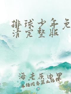 排球少年免费高清完整版