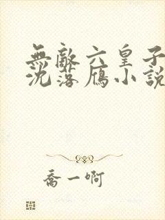 无敌六皇子云铮沈落雁小说正版