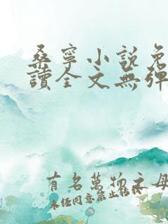 桑宁小说免费阅读全文无弹窗