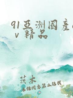 91亚洲国产aⅴ精品