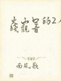 火山口的2人在线观看