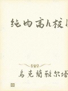 纯肉高h校园文