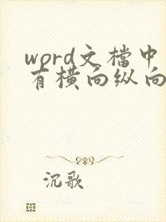 word文档中有横向纵向页码怎么编排一致