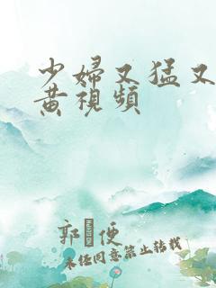 少妇又猛又爽又黄视频